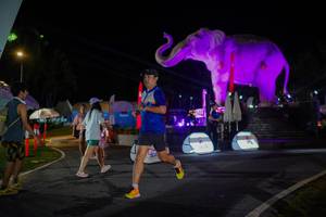 BIB: 
                            <button type="button" onclick="openModal(26552194)" class="btn btn-primary btn-sm float-right btn-popup" data-toggle="modal" data-target=".modal-high-quality">
                        <i class="fas fa-shopping-cart"></i> Add to Cart
                    </button>
                                            <button type="button" onclick="isThisMe(26552194, true)" class="btn btn-success btn-sm float-right btn-popup btn-isme hidden" data-toggle="tooltip" data-placement="bottom" title="นี่คือรูปของคุณใช่ไหม คลิกที่นี่เพื่อเอาเข้าอัลบั้ม">
                        <i class="fas fa-plus"></i> Add to album
                    </button>
                    <button type="button" onclick="isThisMe(26552194, false)" class="btn btn-warning btn-sm float-right btn-popup btn-isnotme hidden">
                        <i class="fas fa-ban"></i> Remove from album
                    </button>